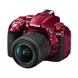 Nikon D5300 Digitalkamera DSLR, 24.1 Megapixel, SD 8 GB 200 x Premium Lexar [Nital Card: 4 Jahre Garantie]-22